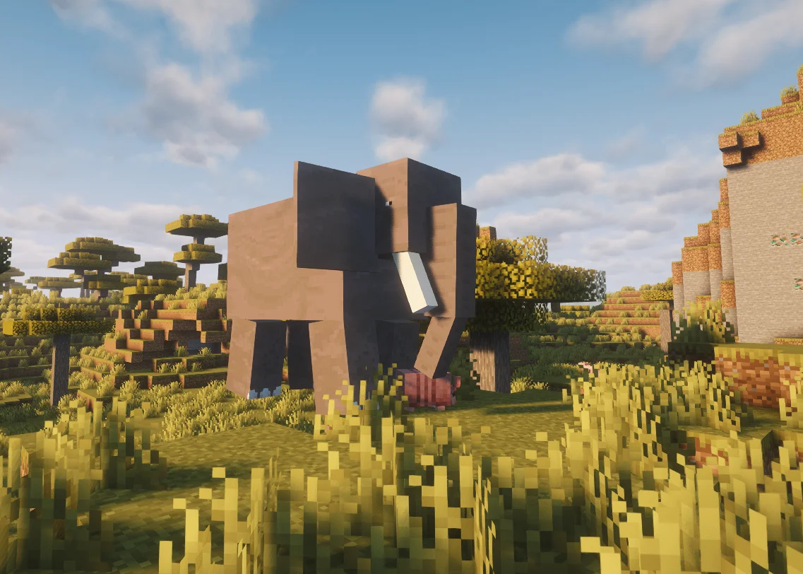 Скриншот сообщества от 02.02.2026.